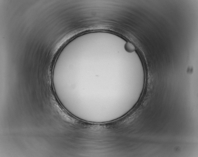 X0000114570789200911161245