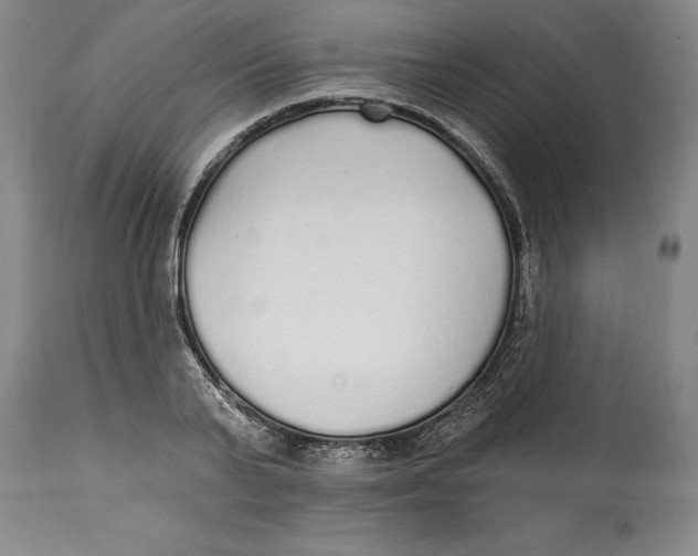 X0000114570791200911161245