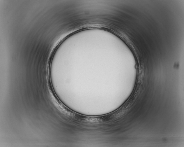 X0000114570795200911161245