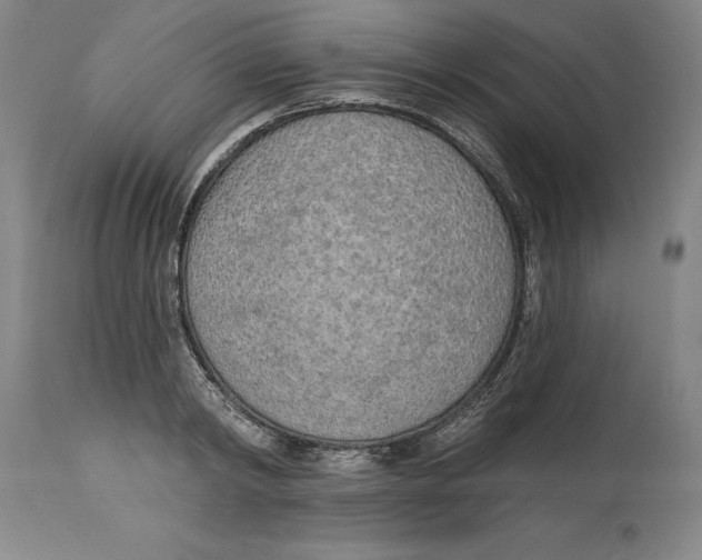 X0000114570798200911161245