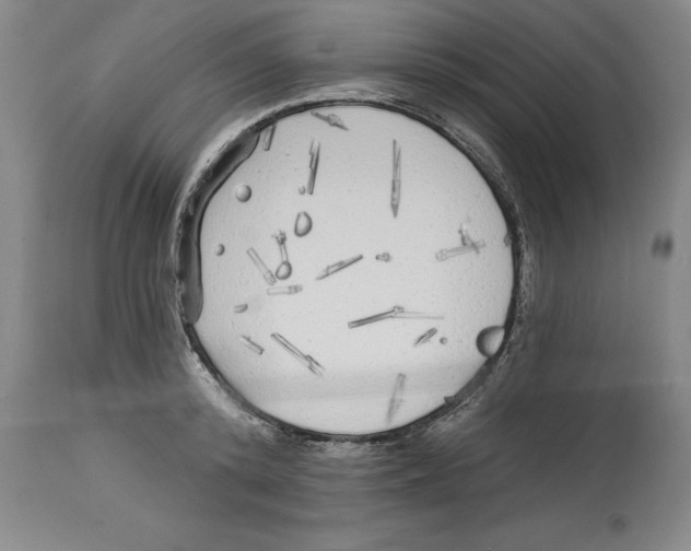 X0000114570800200911161245