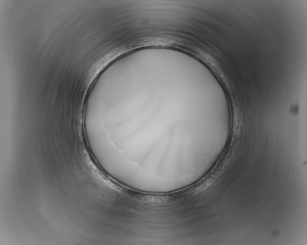 X0000114570802200911161245