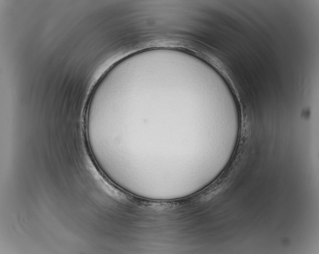 X0000114570803200911161245