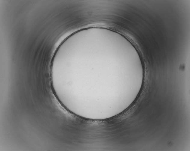 X0000114570808200911161245