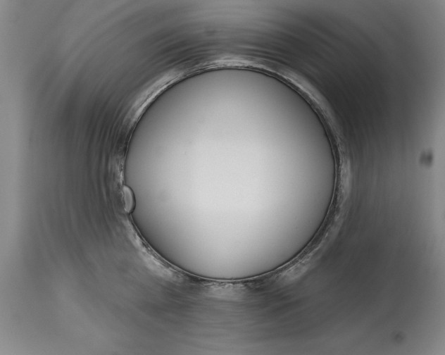 X0000114570809200911161245