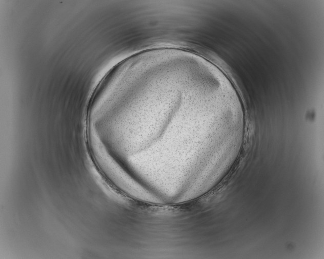 X0000114570811200911161245