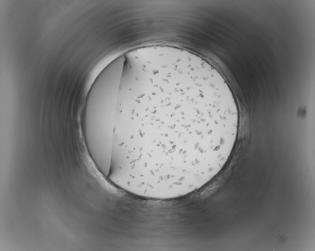 X0000114570812200911161245