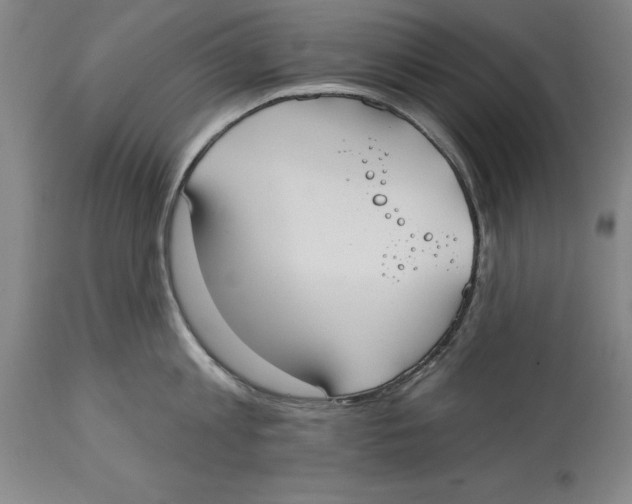 X0000114570813200911161245