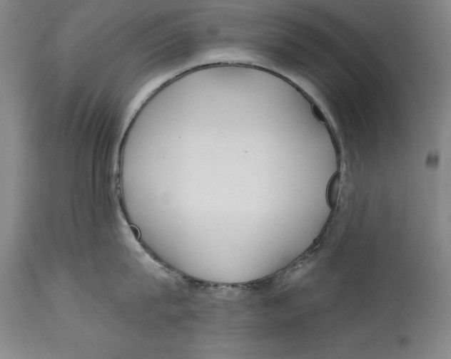 X0000114570815200911161245