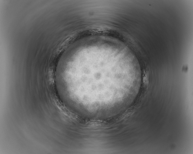 X0000114570819200911161244