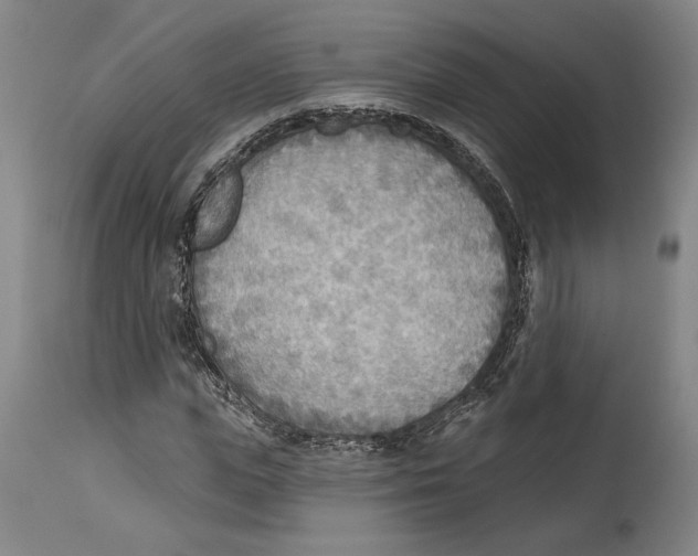 X0000114570823200911161244