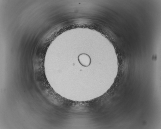 X0000114570824200911161244