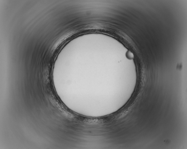 X0000114570826200911161244