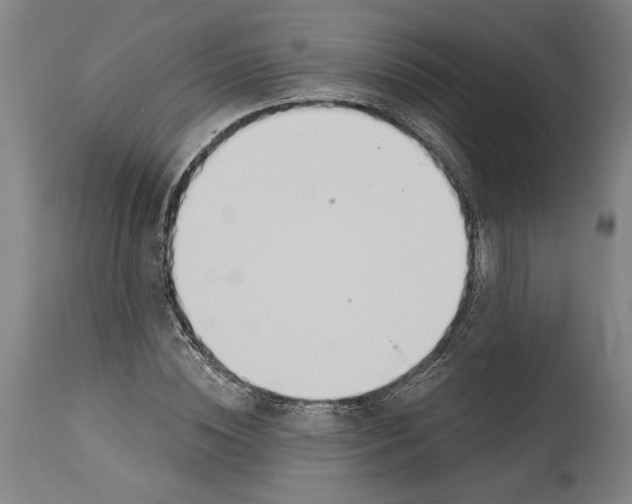 X0000114570828200911161244