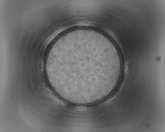 X0000114570829200911161244