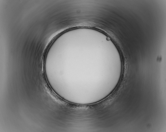 X0000114570838200911161244