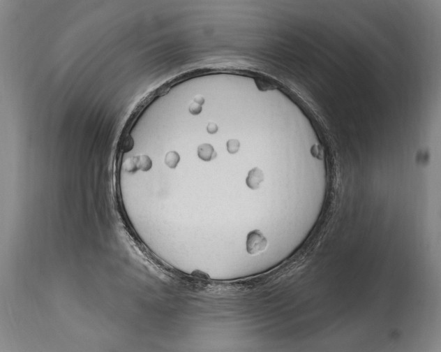 X0000114570840200911161244