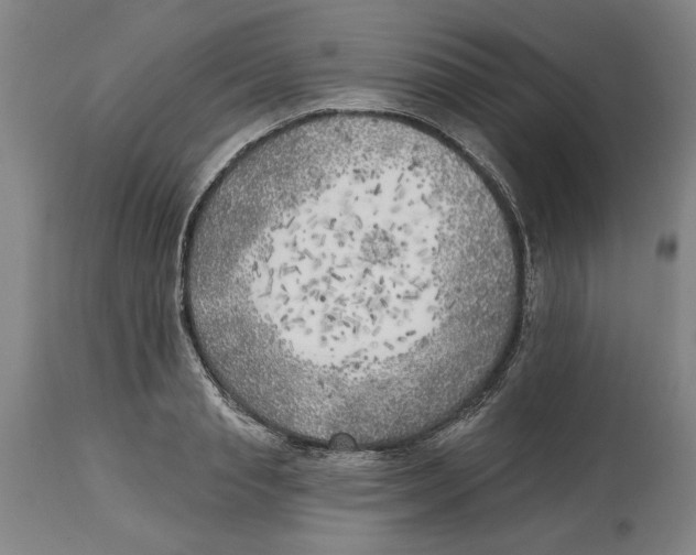 X0000114570845200911161244