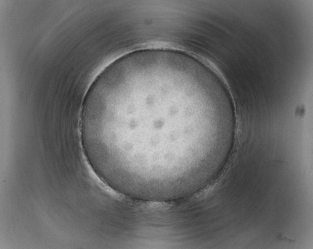 X0000114570847200911161244