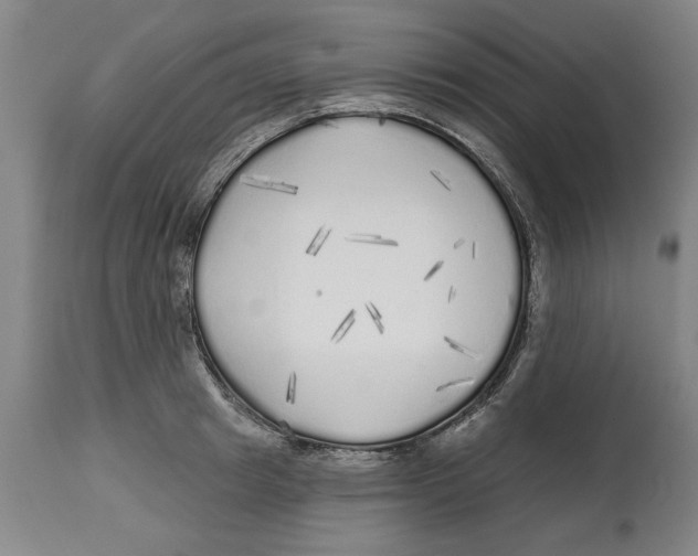 X0000114570849200911161245