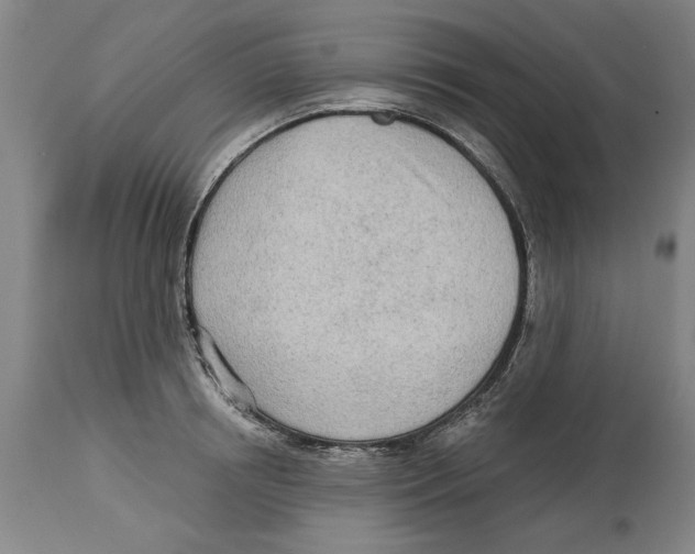 X0000114570850200911161245