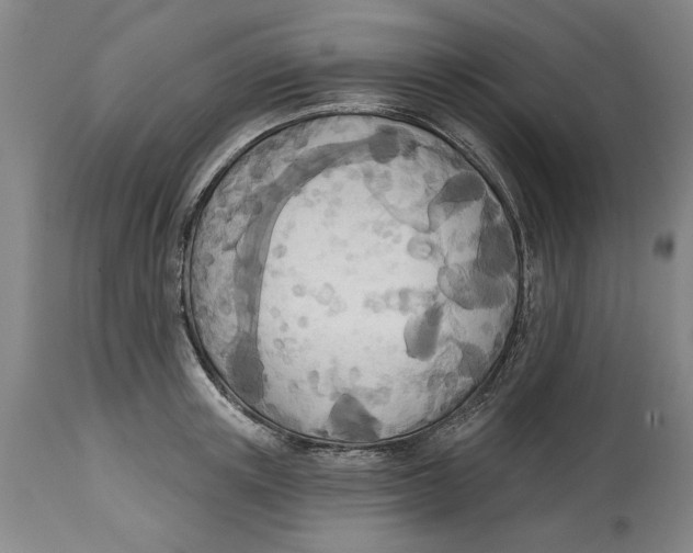 X0000114570851200911161245