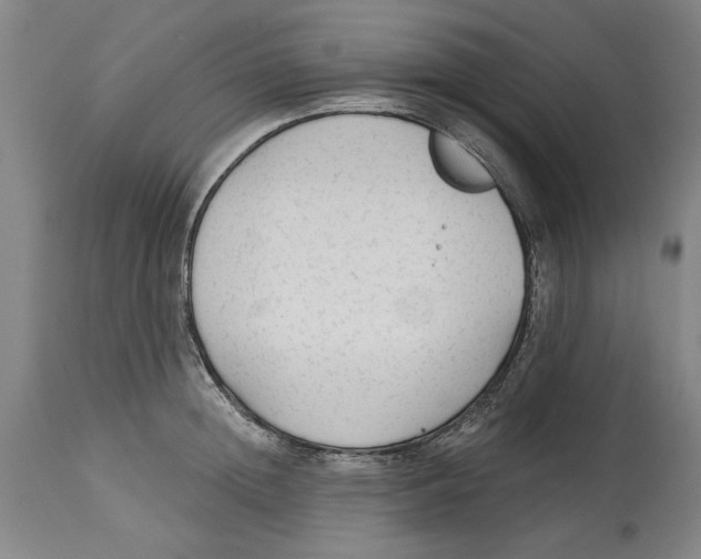 X0000114570852200911161245