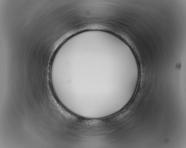 X0000114570853200911161245