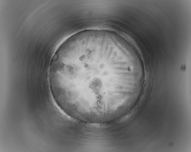 X0000114570855200911161245