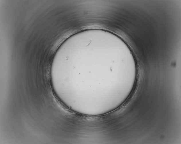 X0000114570857200911161245