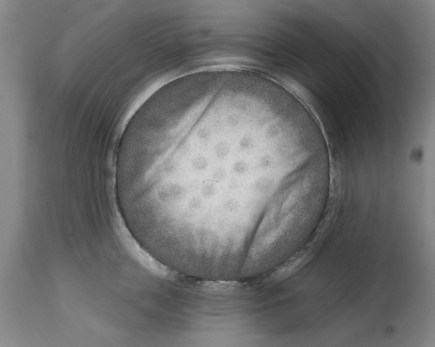 X0000114570859200911161245