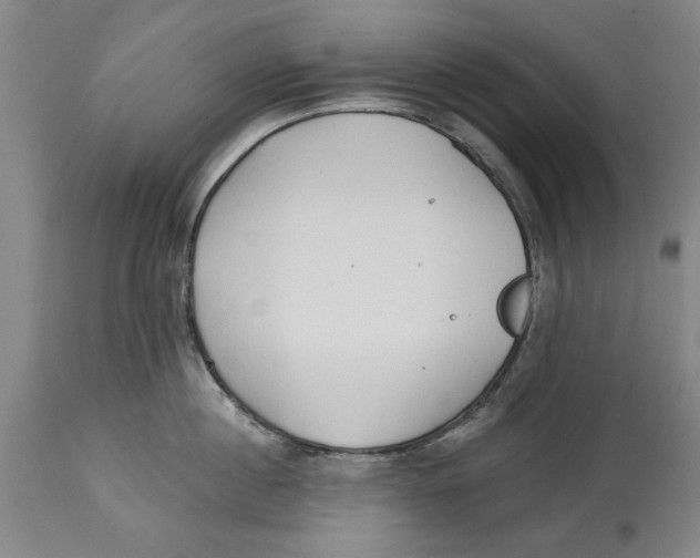 X0000114570860200911161245