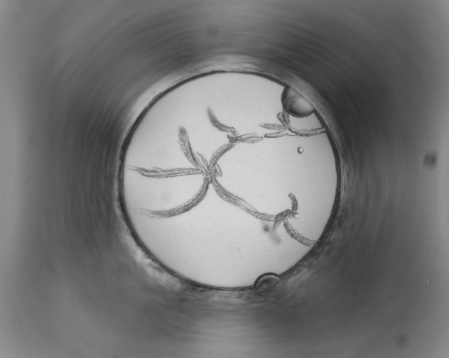 X0000114570861200911161245