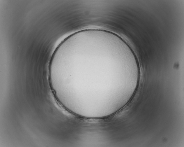 X0000114570862200911161245