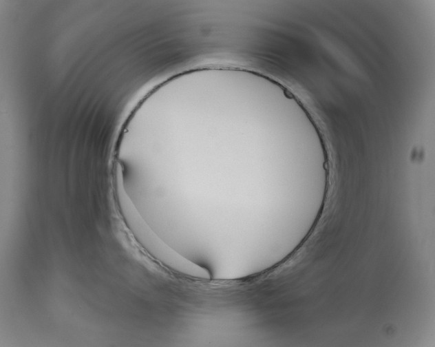 X0000114570864200911161245