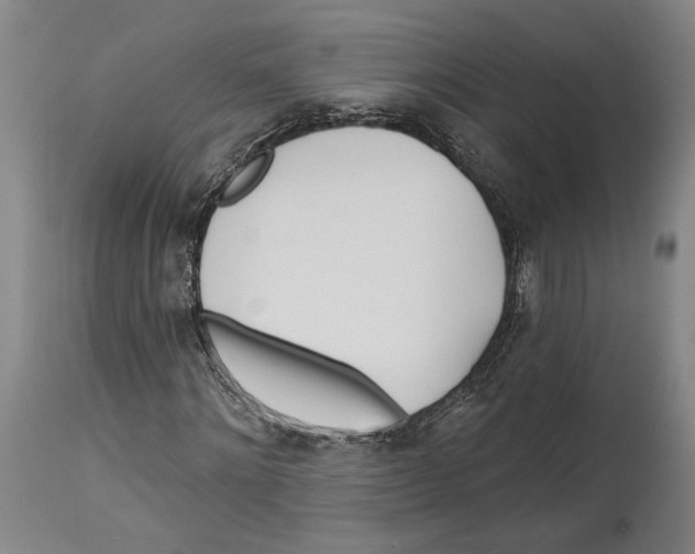 X0000114570868200911161244