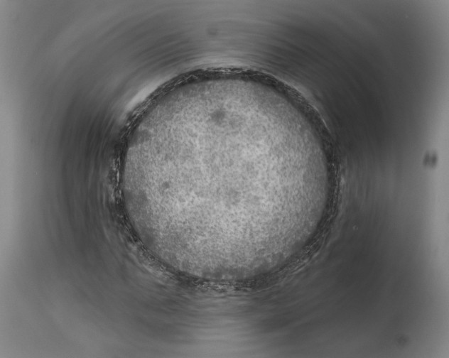 X0000114570871200911161244