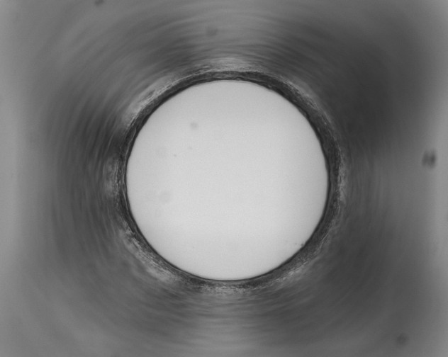 X0000114570873200911161244