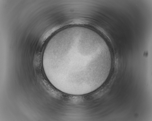 X0000114570874200911161244