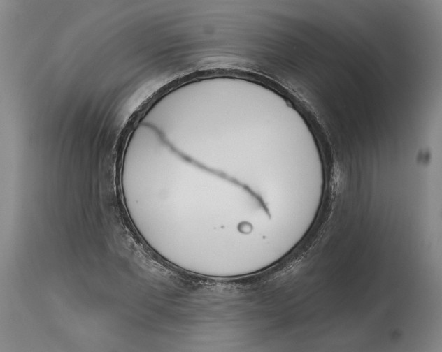 X0000114570877200911161244