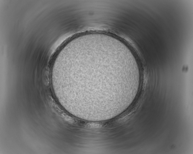 X0000114570878200911161244