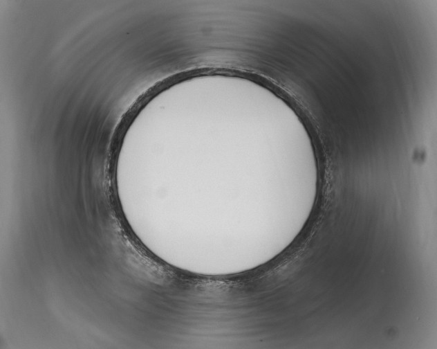 X0000114570880200911161244