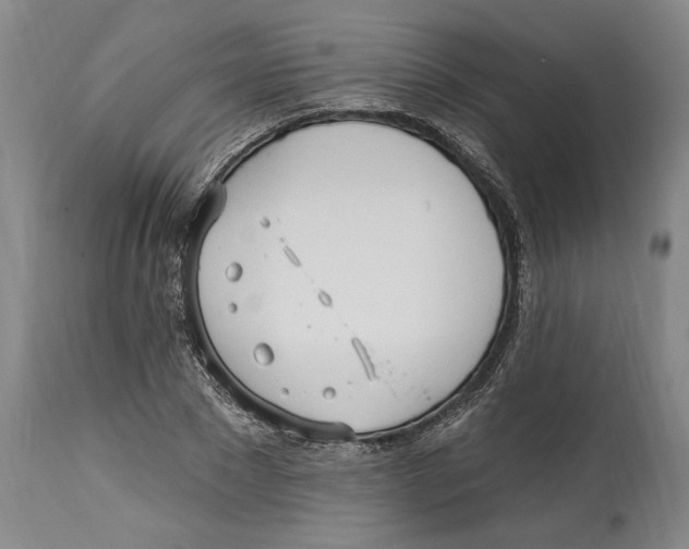 X0000114570881200911161244