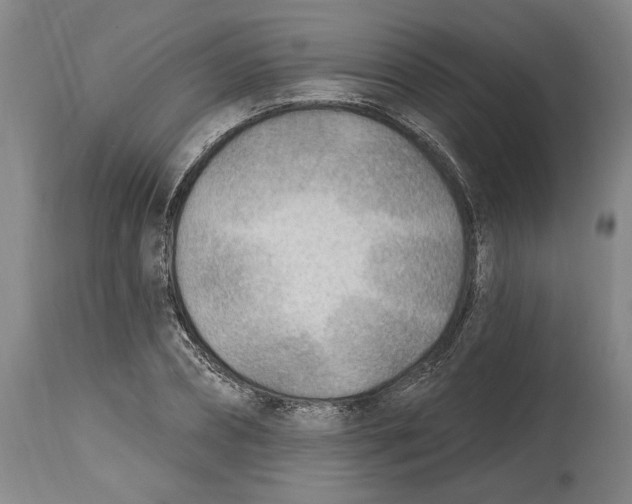 X0000114570882200911161244