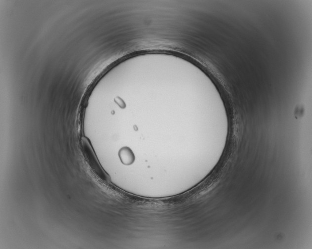 X0000114570885200911161244