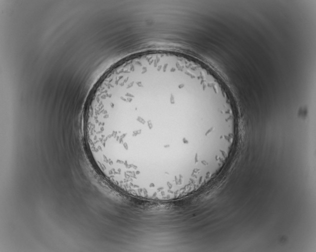 X0000114570891200911161244