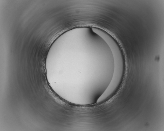 X0000114570897200911161244