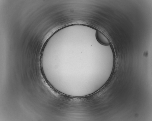 X0000114570898200911161244