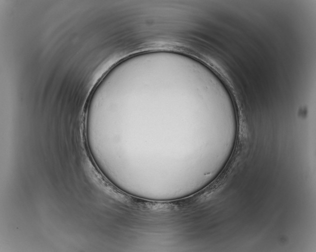 X0000114570899200911161244