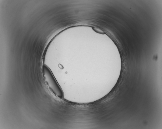 X0000114570900200911161244